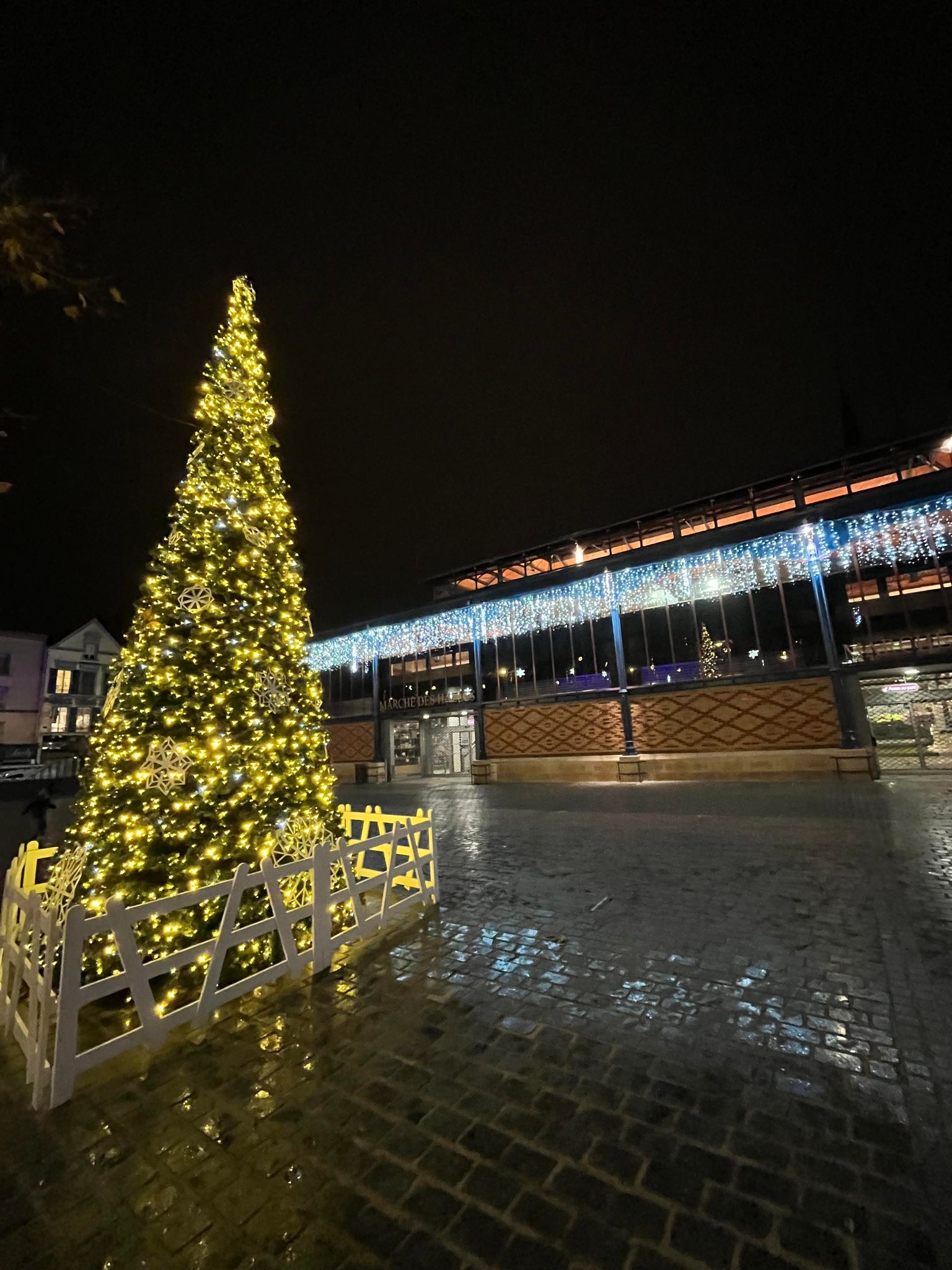 Marché des Halles et sapin