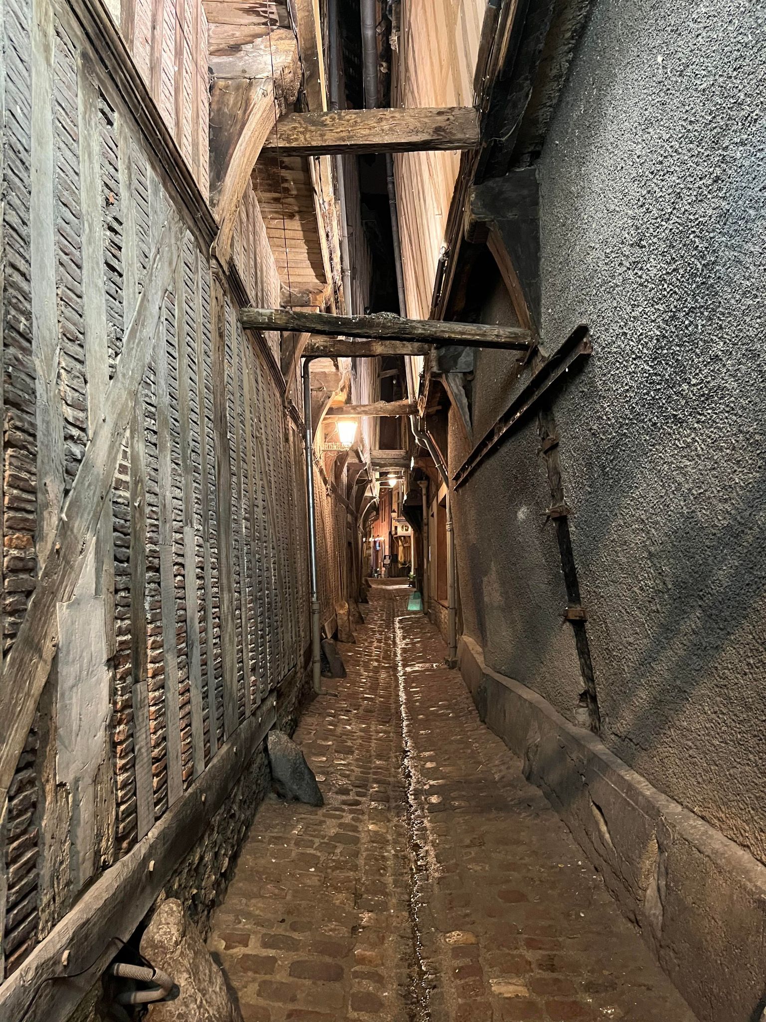 ruelle des chats