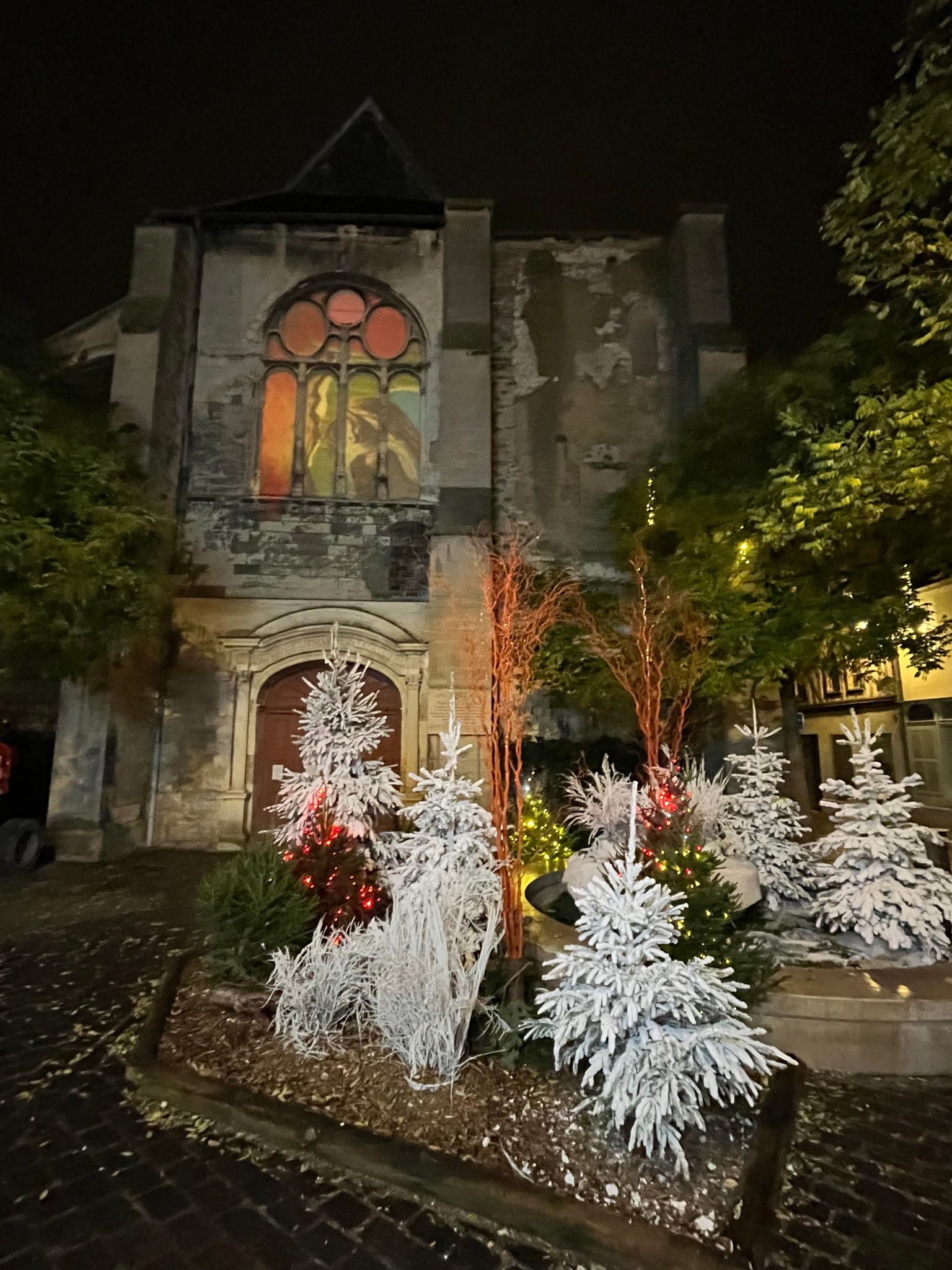 Eglise St Jean au marché et sapins