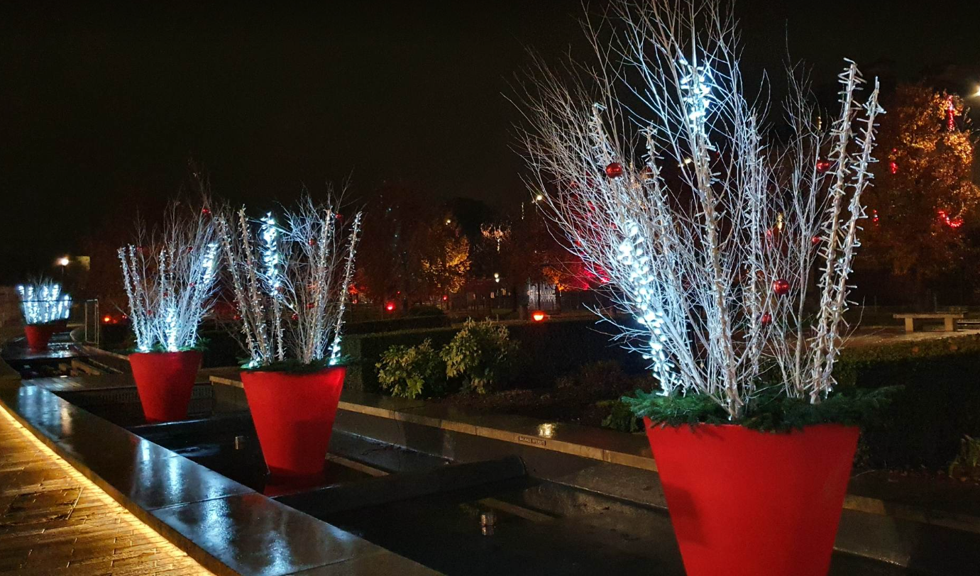 place de la Libération illuminée